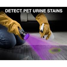 Kobalt Blacklight 51 Uv LED Flashlight with Batteries Included