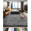 Ophanie Area Rugs for Bedroom Living Room, Grey Fluffy Fuzzy Shag Shaggy Soft Plush Carpet, 4x6 Indoor Floor Gray Rug for Kids Home Dorm Decor Aesthetic