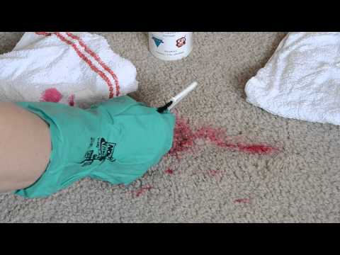 Organic Stain Removal Kit